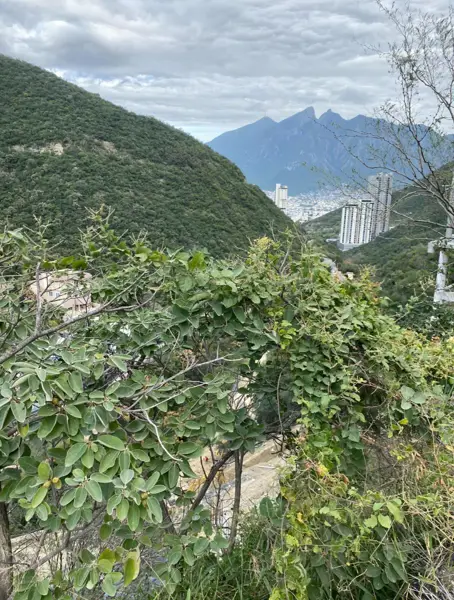 Terreno en venta en Renacimiento, Monterrey — foto 3 de 3