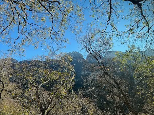 Terreno en venta en Valle de San Ángel, San Pedro Garza García — foto 2 de 6
