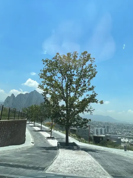 Terreno en venta en Residencial Cordillera, Santa Catarina — foto 3 de 5