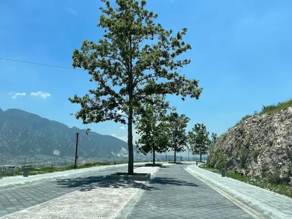 Terreno en venta en Residencial Cordillera, Santa Catarina — foto 3 de 5
