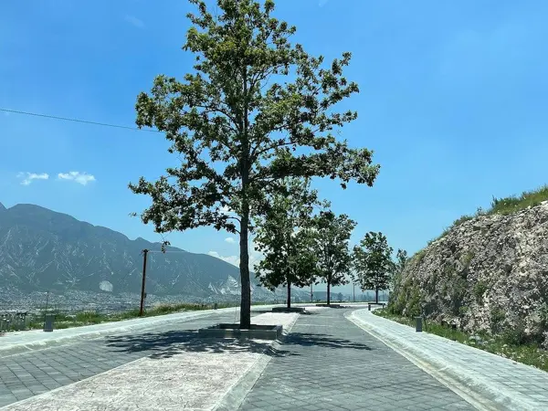 Terreno en venta en Zona Valle Poniente, San Pedro Garza García — foto 3 de 4