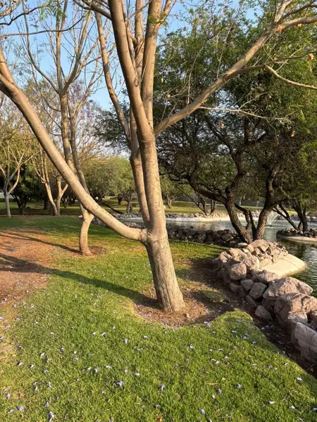 Casa en venta en Real del Bosque, Corregidora — foto 3 de 22
