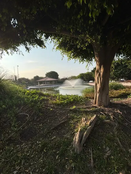 Casa en venta en Real del Bosque, Corregidora — foto 2 de 22