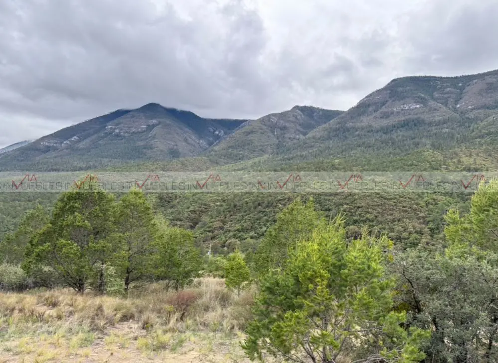 Terreno en venta en Jame, Arteaga — foto 1 de 17