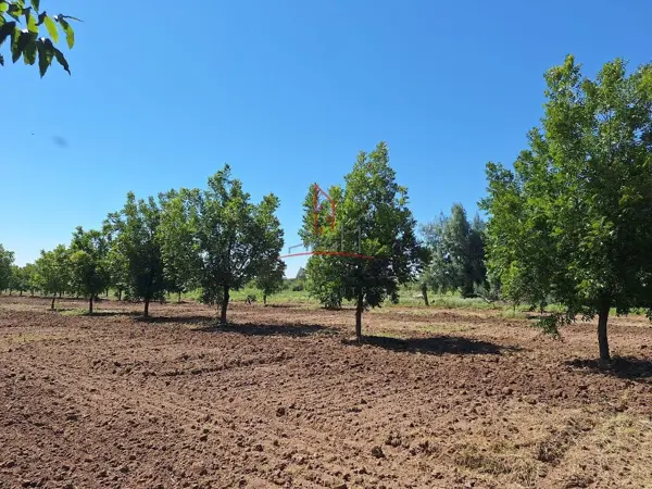 Terreno en venta en Saucillo Centro, Saucillo — foto 3 de 10