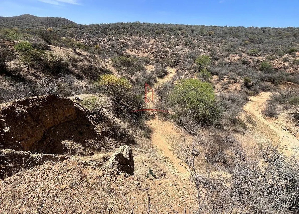 Terreno en venta en Maclovio Herrera (santa Rosa), Hidalgo del Parral — foto 1 de 6