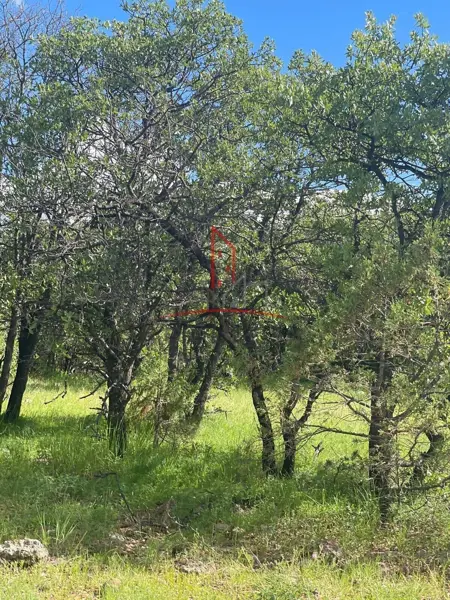 Terreno en venta en Casa Colorada, Cuauhtémoc — foto 3 de 5