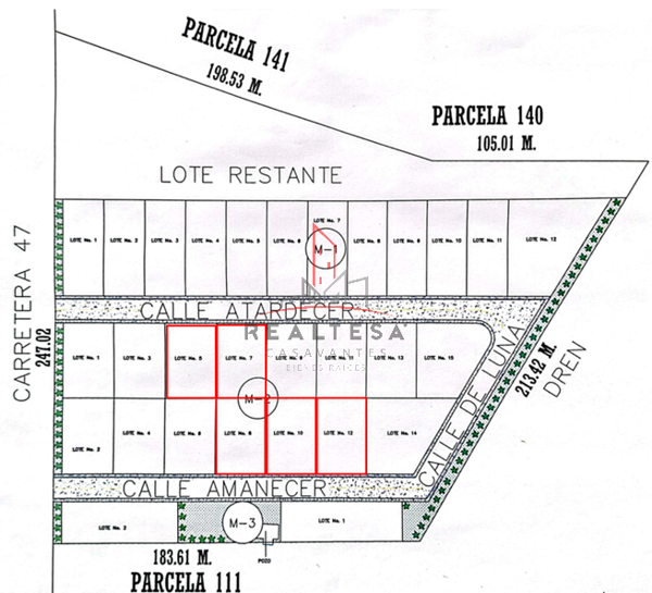 Terreno en venta en Estación Consuelo, Meoqui — foto 3 de 3