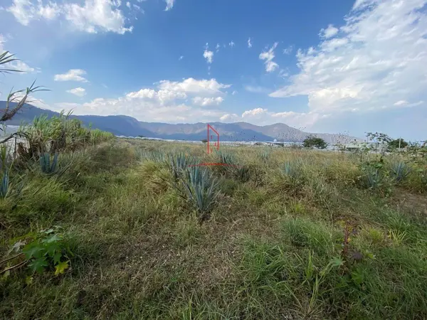 Terreno en venta en Lazaro Cardenas, Zapotiltic — foto 3 de 4