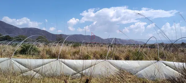 Terreno en venta en San Juan Espanatica, Tuxpan — foto 3 de 8