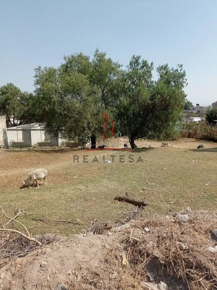 Terreno en venta en San Mateo Xoloc, Tepotzotlán — foto 1 de 7
