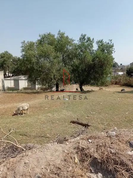 Terreno Venta San Mateo Xoloc Tepotzotlán Edo. de México 1,650,000 JosMor RRP
