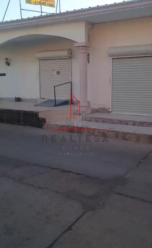 Local Renta Cd. Ojinaga Chihuahua Centro 7,000 JUAANA RAO