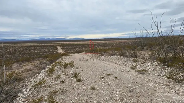 Terreno en venta en San Francisco de Conchos, San Francisco de Conchos — foto 3 de 21
