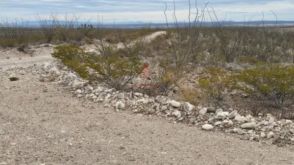 Terreno en venta en San Francisco de Conchos, San Francisco de Conchos — foto 2 de 21