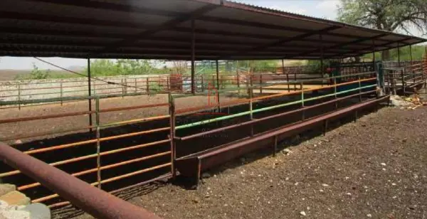 Finca-Rancho en venta en Satevo, Satevó — foto 2 de 10
