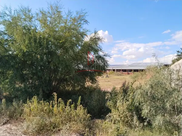 Terreno en venta en Aldama Centro, Aldama — foto 3 de 4