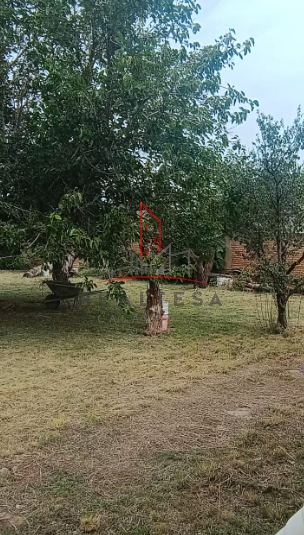 Terreno y Casa Venta Independencia Cuauhtémoc Chihuahua 3,950,000 Indcas RGC