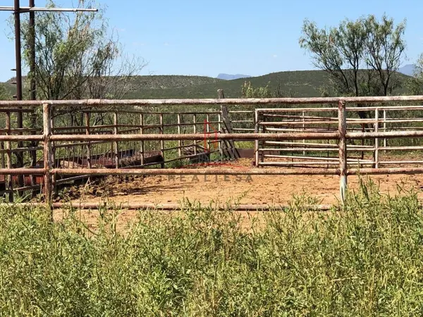 Finca-Rancho en venta en Satevo, Satevó — foto 2 de 17