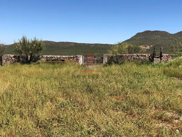 Finca-Rancho en venta en Satevo, Satevó — foto 3 de 17