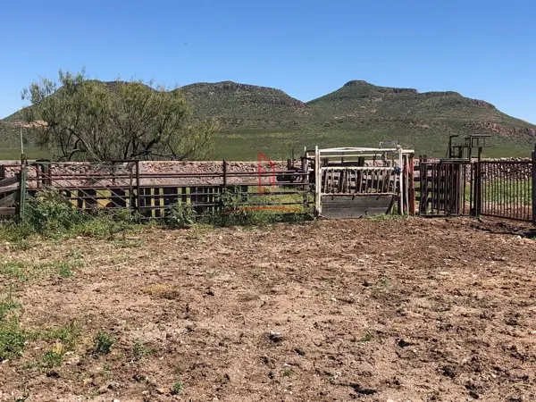 Rancho Ganadero Venta Satevó, chihuahua 28,600,000  Indter RGC