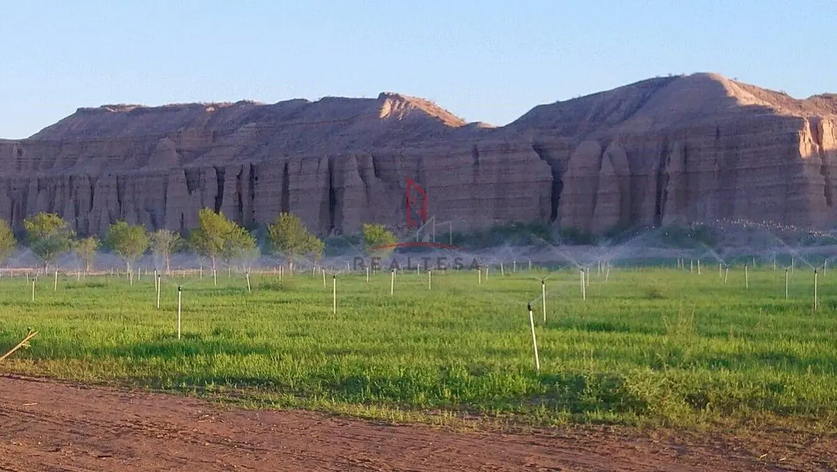 Finca-Rancho en venta en Coyame, Coyame del Sotol — foto 1 de 20