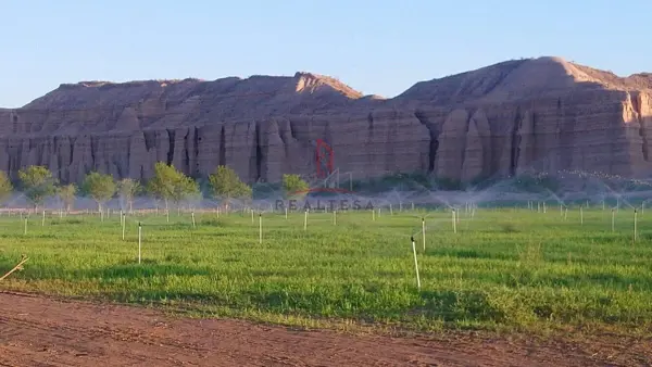 Rancho Venta Coyame Chihuahua 19,000,000 AroPor RAO