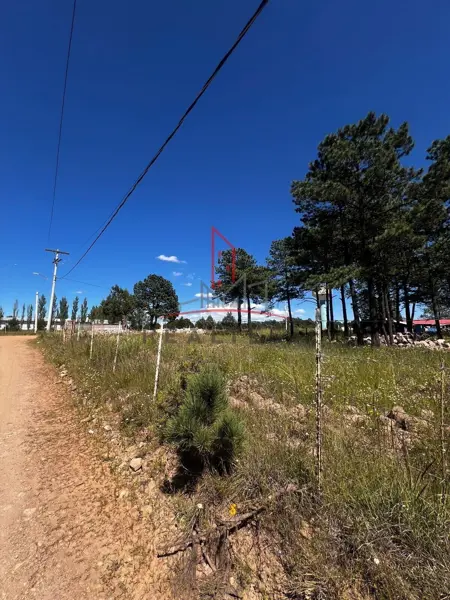 Terreno en venta en Aeropuerto, Guachochi — foto 2 de 6