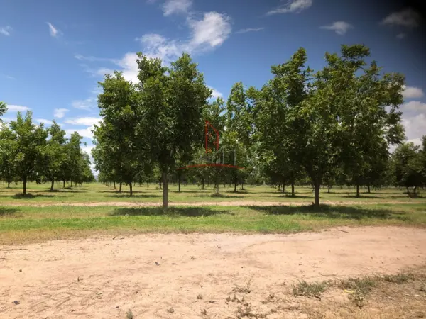 Finca-Rancho en venta en Ciudad Camargo Centro, Camargo — foto 3 de 3