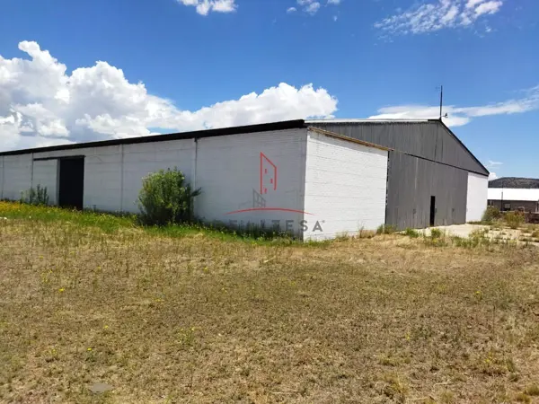 Bodega Venta Av. Jorge Castillo Cuauhtémoc Chihuahua 4,800,000 Indter RGC