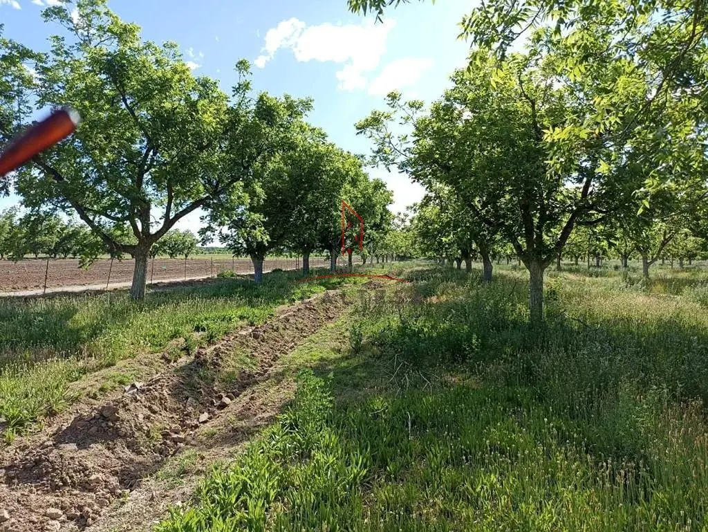 Finca-Rancho en renta en Saucillo Centro, Saucillo — foto 1 de 2