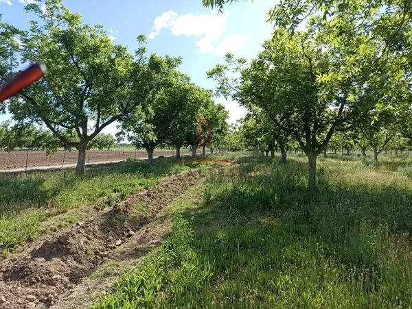 Rancho Nogalero Venta Delicias Chihuahua 8,000,000 Clater RGC