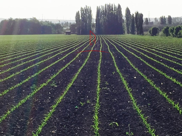 Terreno Agricola Venta Cuauhtemoc Chihuahua 13,000,000   RGC