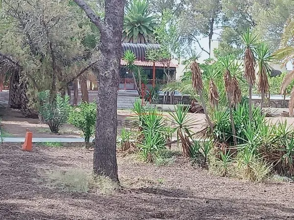 Finca-Rancho en venta en Meoqui, Meoqui — foto 2 de 24