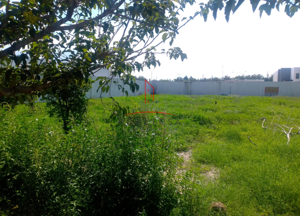 Terreno en venta en Sector Sur, Delicias — foto 2 de 2