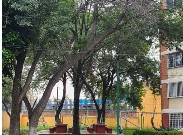 Departamento en venta en Granjas Coapa, Tlalpan — foto 3 de 16