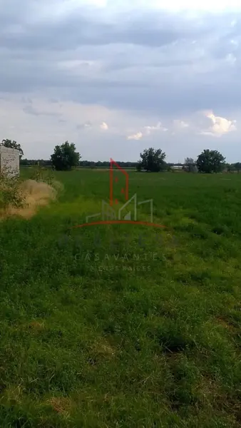 Terreno Venta  Sector Norte Delicias Chihuahua 1,500,000  Diater  RGC