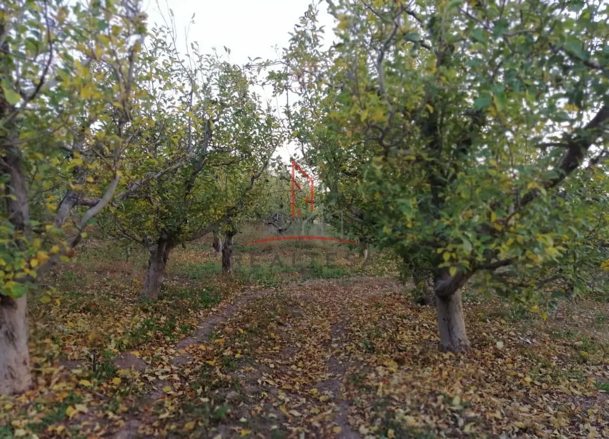 Finca-Rancho en venta en Crucero, Guerrero — foto 1 de 8