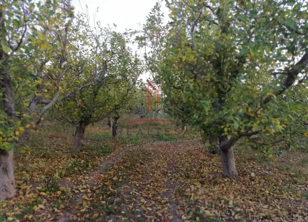 Huerta Venta Guerrero Chihuahua 1,500,000  Indhue RGC