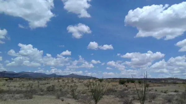 Terreno en venta en Ejido Labor de Dolores, Chihuahua — foto 3 de 5