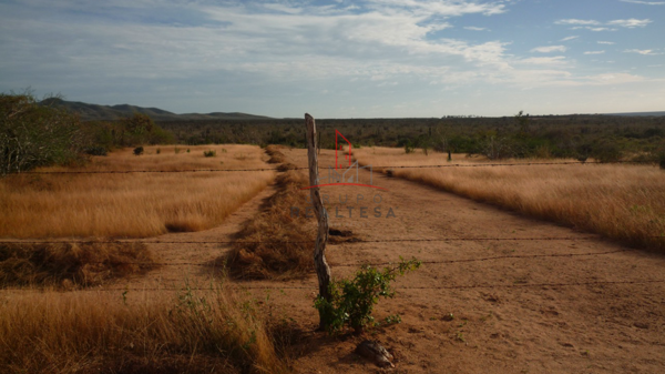 Terreno en venta en Cabo San Lucas Centro, Los Cabos — foto 3 de 8