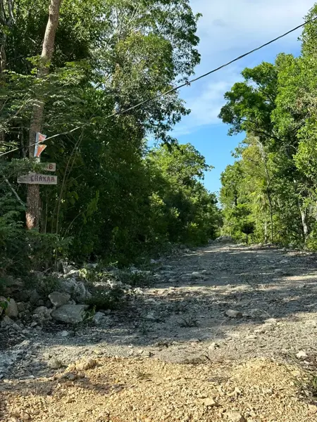 Terreno en venta en Playa del Carmen, Playa del Carmen — foto 3 de 29