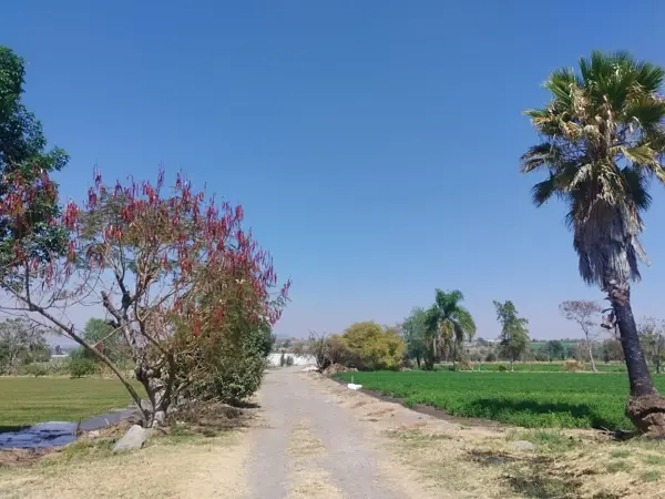 *Vendo terrenos  en Atlixco*

*https://maps.app.goo.gl/tH8hEkqcsQc4Hrv66
 

*zona de Cola de Lagarto