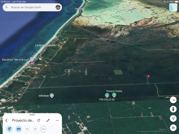 Tulum a 3 km de la playa terreno 1 Hectárea titulada. OPORTINIDAD DE INVERSION