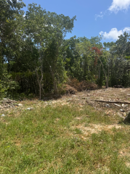 Terreno en venta en Supermanzana 313, Benito Juárez — foto 3 de 7