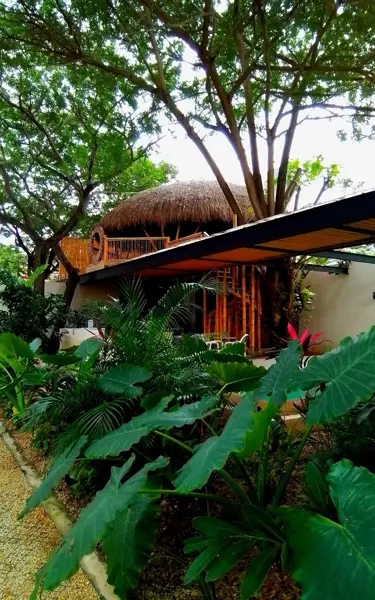 Departamento en renta en Campestre, Mérida — foto 2 de 28