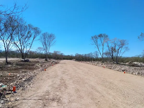 Terreno en venta en Motul de Carrillo Puerto Centro, Motul — foto 2 de 22
