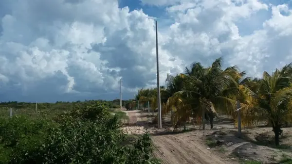 Terreno en venta en Telchac Puerto, Telchac Puerto — foto 3 de 3