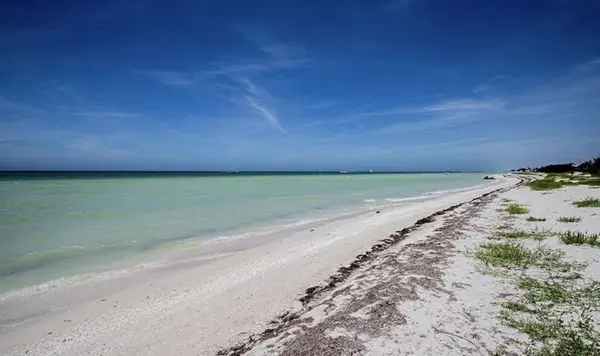 Terreno en venta en Chicxulub Puerto, Progreso — foto 3 de 8