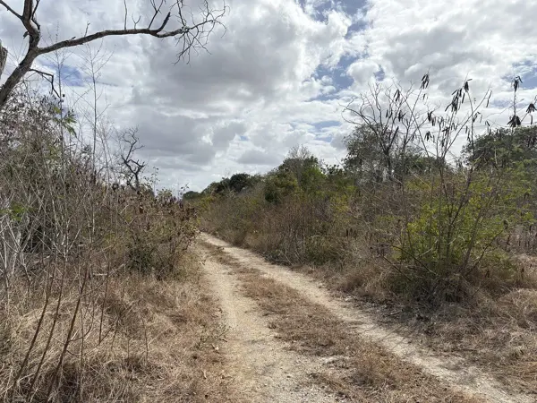 Terreno en venta en Komchen, Mérida — foto 2 de 7